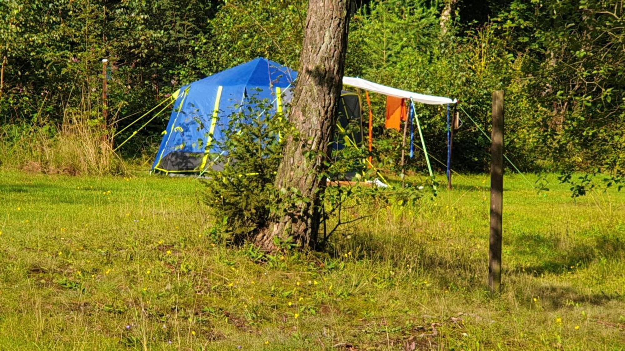 Harzklub Wanderheim Daire Wildemann Dış mekan fotoğraf